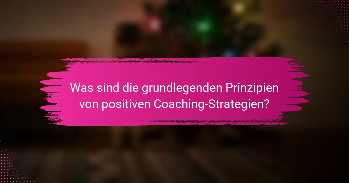 Was sind die grundlegenden Prinzipien von positiven Coaching-Strategien?